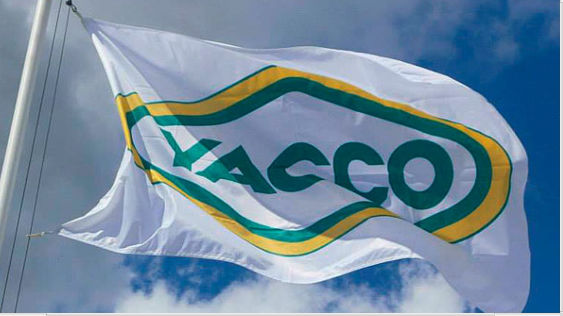 Анонс на YACCO Quality Department